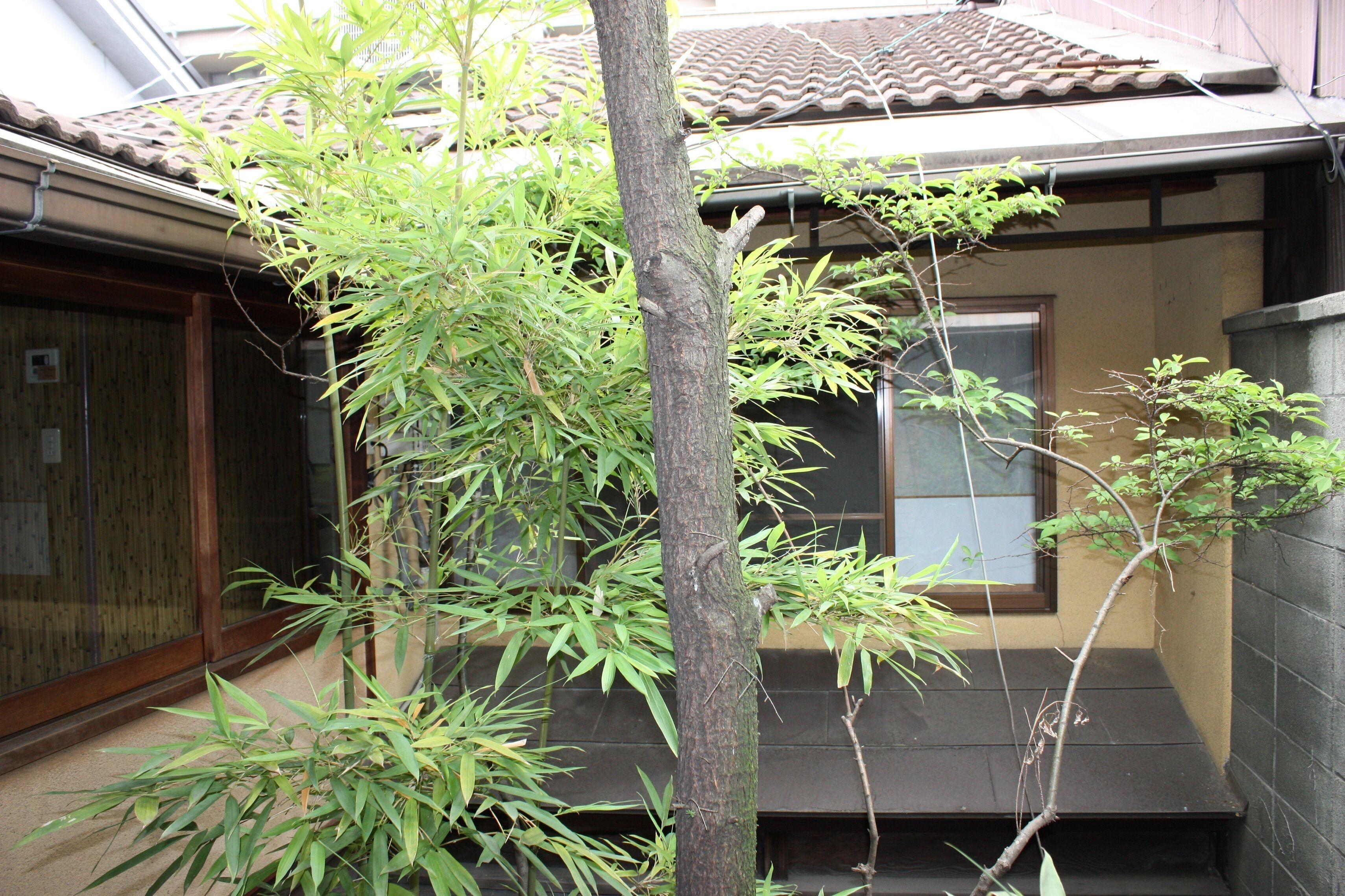 Riverside Takase — Photos 2